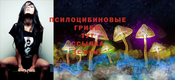 прущие крисы Балабаново